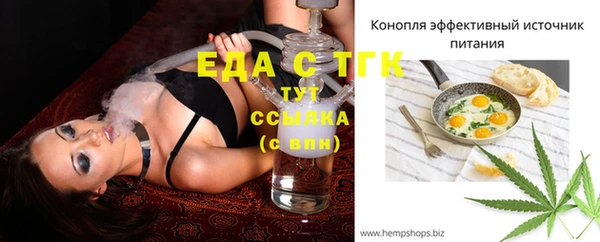 дмт Новозыбков