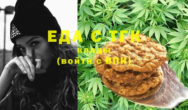 дмт Новозыбков