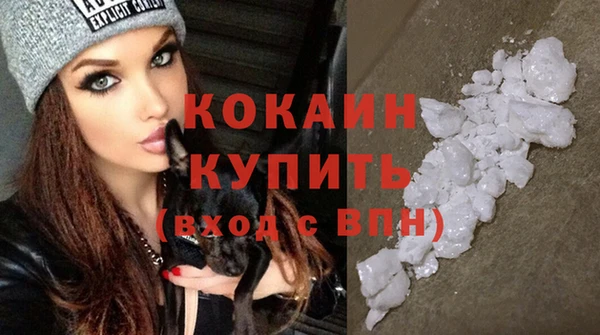 стаф Касимов