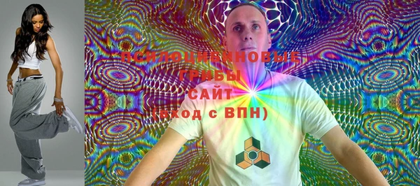 дмт Новозыбков