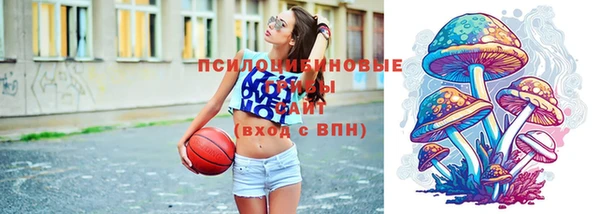 молекула духа Шадринск