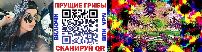 Галлюциногенные грибы ЛСД  купить наркотики цена  Пустошка 